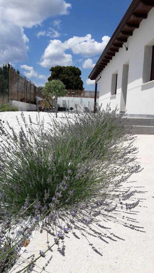 La Perla Casa Rural Sostenible Hiendelaencina Εξωτερικό φωτογραφία